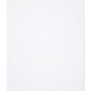 Vitopend 100-W A1HB 29.9